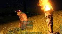 4GF Tribe