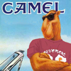 Camel1's Photo